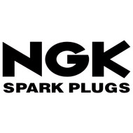 NGK Spark Plugs